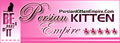 Persian Kittens for SALE