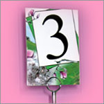 Wedding Table Numbers